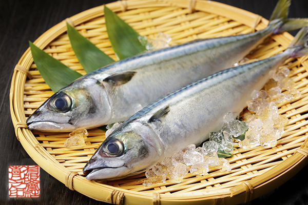 サバ を 読む 意味 鯖を読むの意味 語源や例文も紹介 ところでなぜ鯖なの